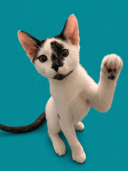 Remy image 1