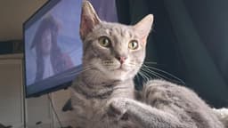 Morty image 1