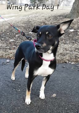 Zuri image 2