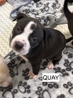 Quay image 2
