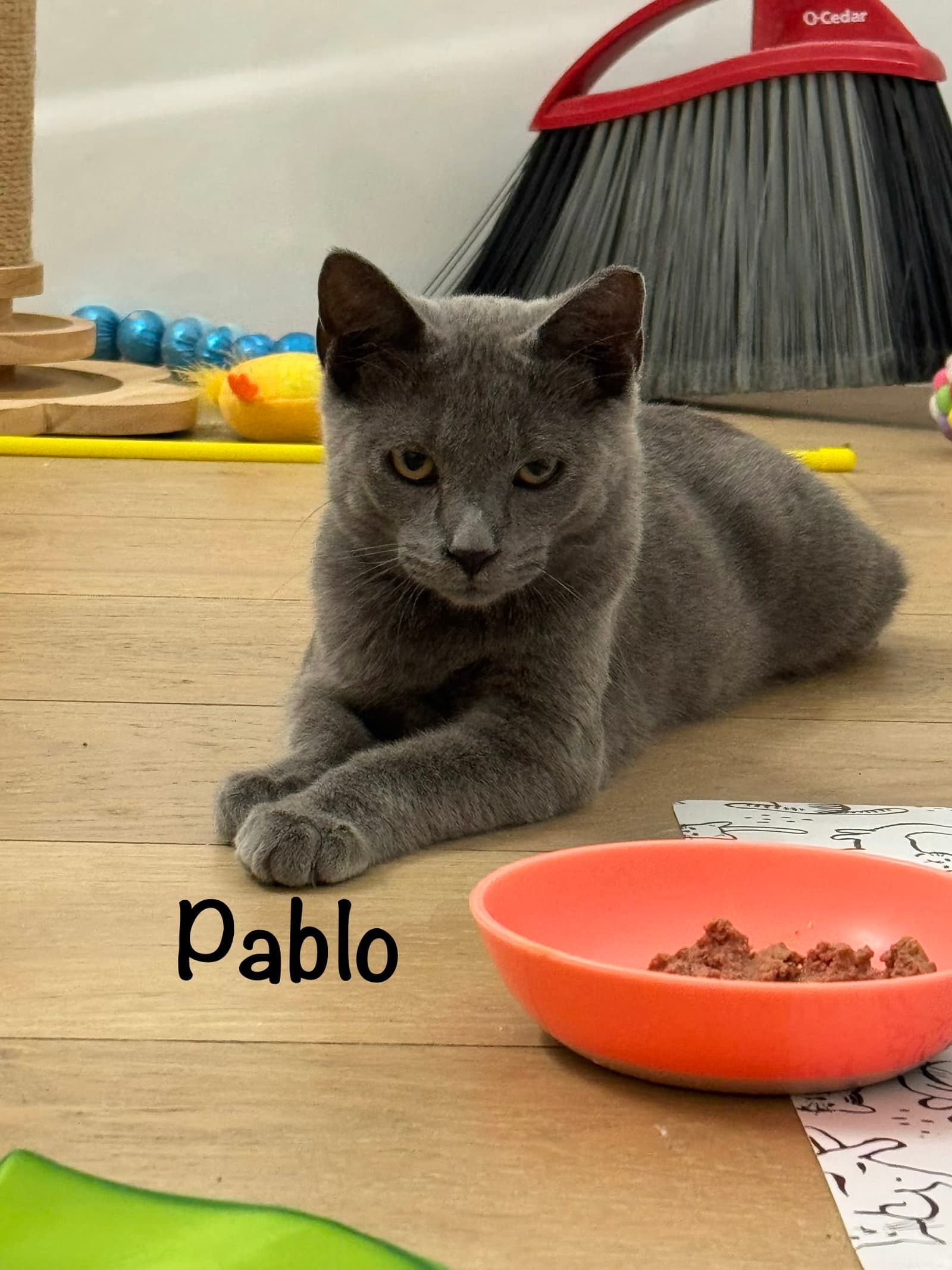 Pablo