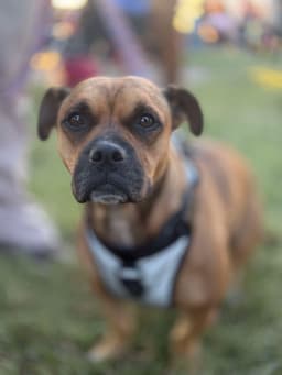 Max image 1
