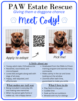 Cody image 3