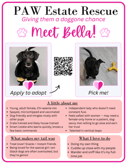 Bella image 3