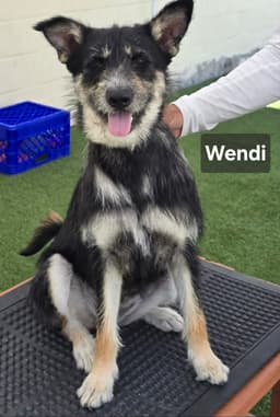 Wendy image 1