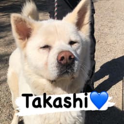 Takashi image 3