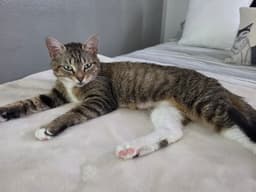 Frannie image 1