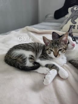 Claire image 1