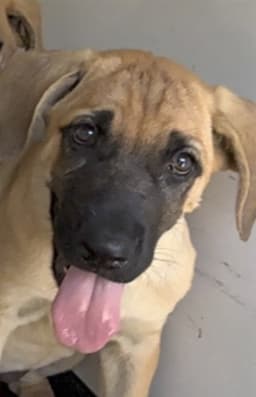 Unknown image 1