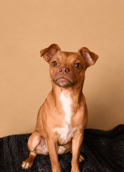 Winston T image 1
