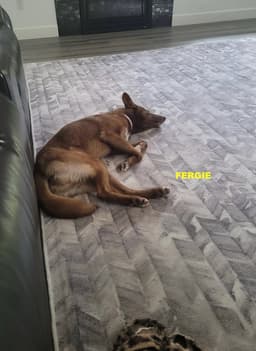 Fergie image 1