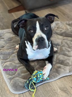 Olivia N image 3