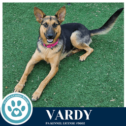 Vardy image 3