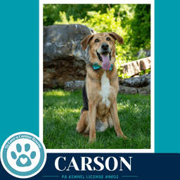 Carson Fka Bozo image 1