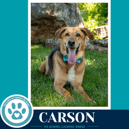 Carson Fka Bozo image 3