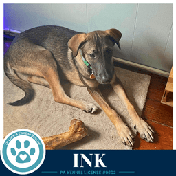 Ink I-Team image 2