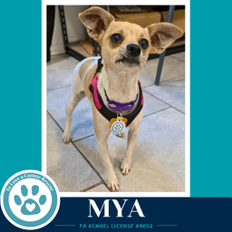 Mya image 2