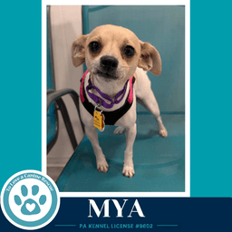 Mya image 3