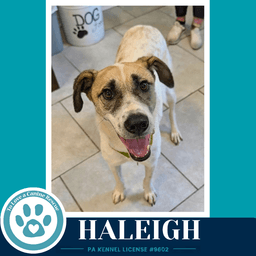 Haleigh image 1