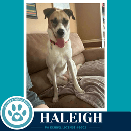 Haleigh image 2