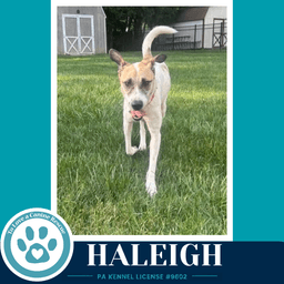 Haleigh image 3