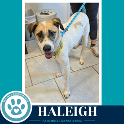 Haleigh image 4