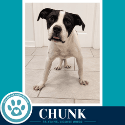 Chunk image 2