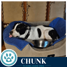 Chunk image 3