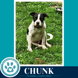 Chunk image 4