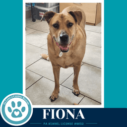 Fiona image 2