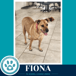 Fiona image 3