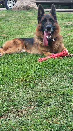 Koda image 2