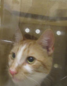 Steve Purry image 1