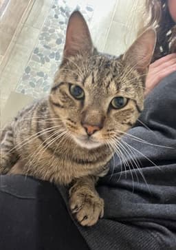 Bert image 1