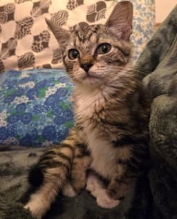 Fiona image 1