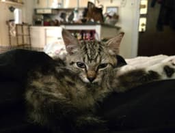 Fiona image 3