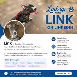 Link image 3