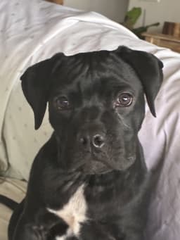Dani image 4