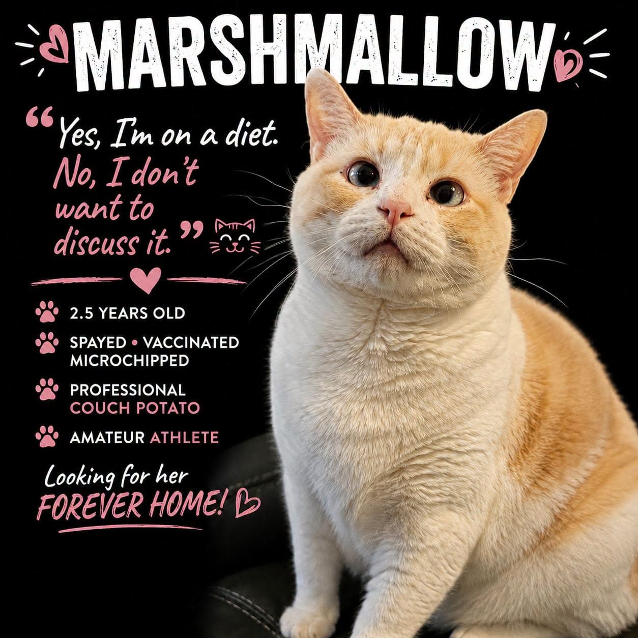 Marshmallow - Df - Siamese