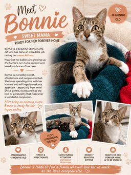 Bonnie image 1