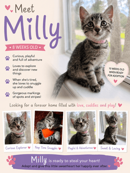 Milly image 1