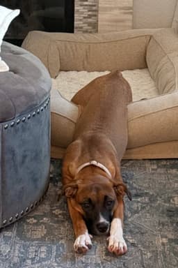 Molly Mae image 1