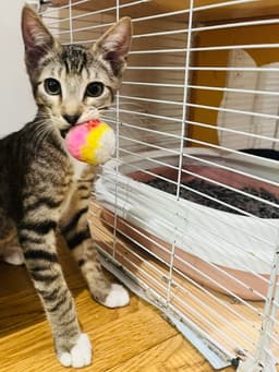 Andrew Mewcarthy image 1