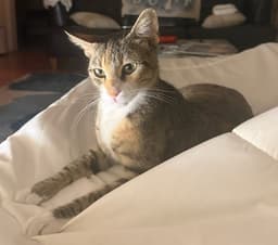 Charlie image 2
