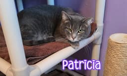 Patricia image 2
