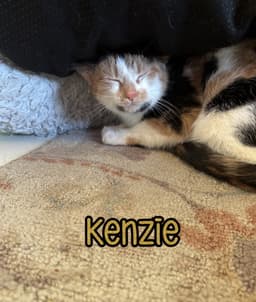 Kenzie image 4