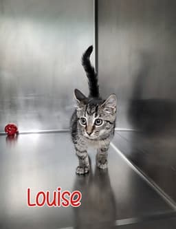 Louise image 2