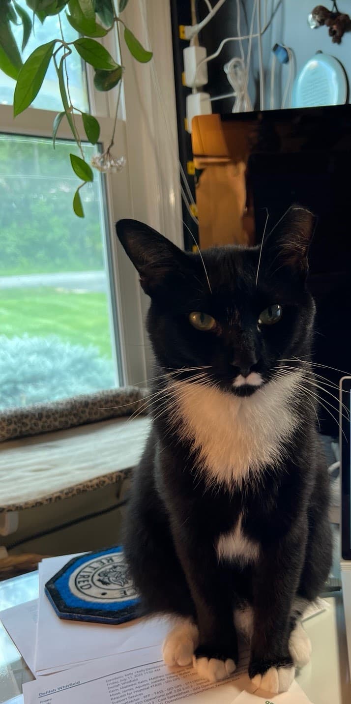 Tux - Tuxedo