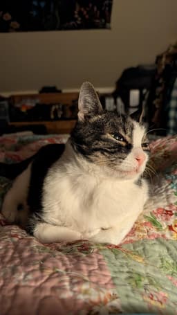 Charlie image 3