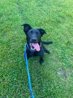 Lovey image 4